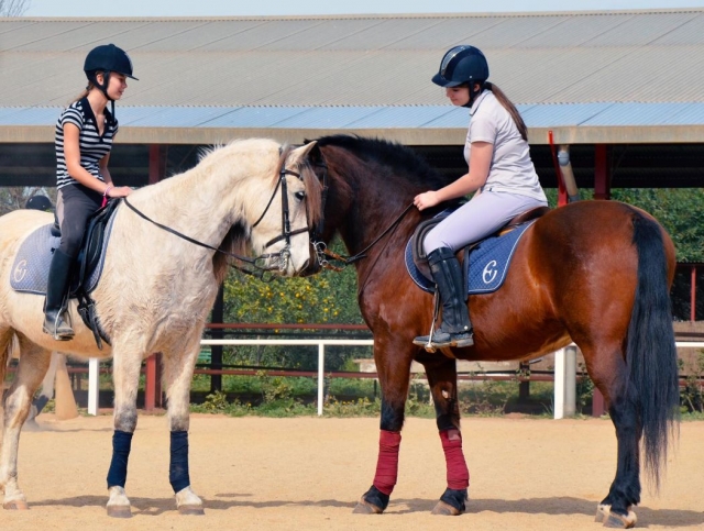  la beauté de l'équitation 